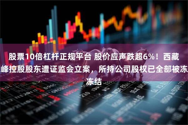 股票10倍杠杆正规平台 股价应声跌超6%！西藏珠峰控股股东遭证监会立案，所持公司股权已全部被冻结