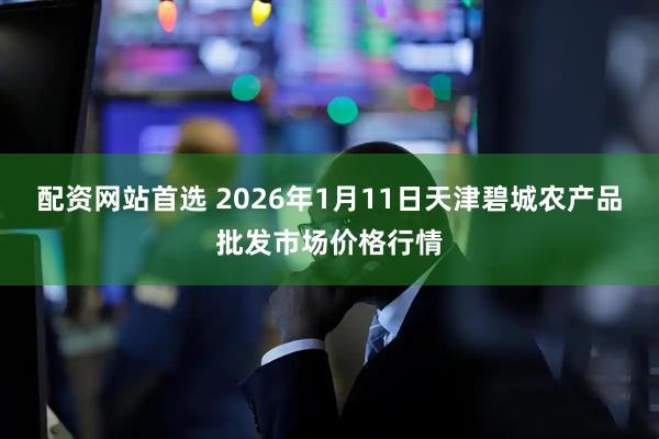 配资网站首选 2026年1月11日天津碧城农产品批发市场价格行情
